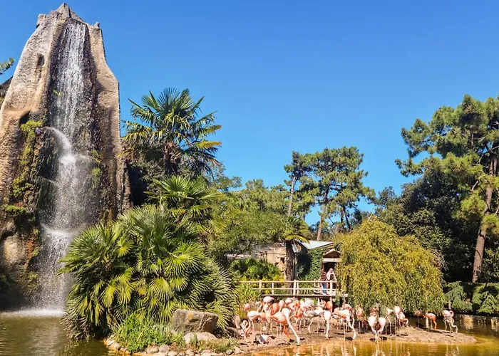 Semesterbostad In With Wifi *